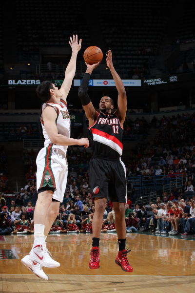 的飞行执照 的飞行执照