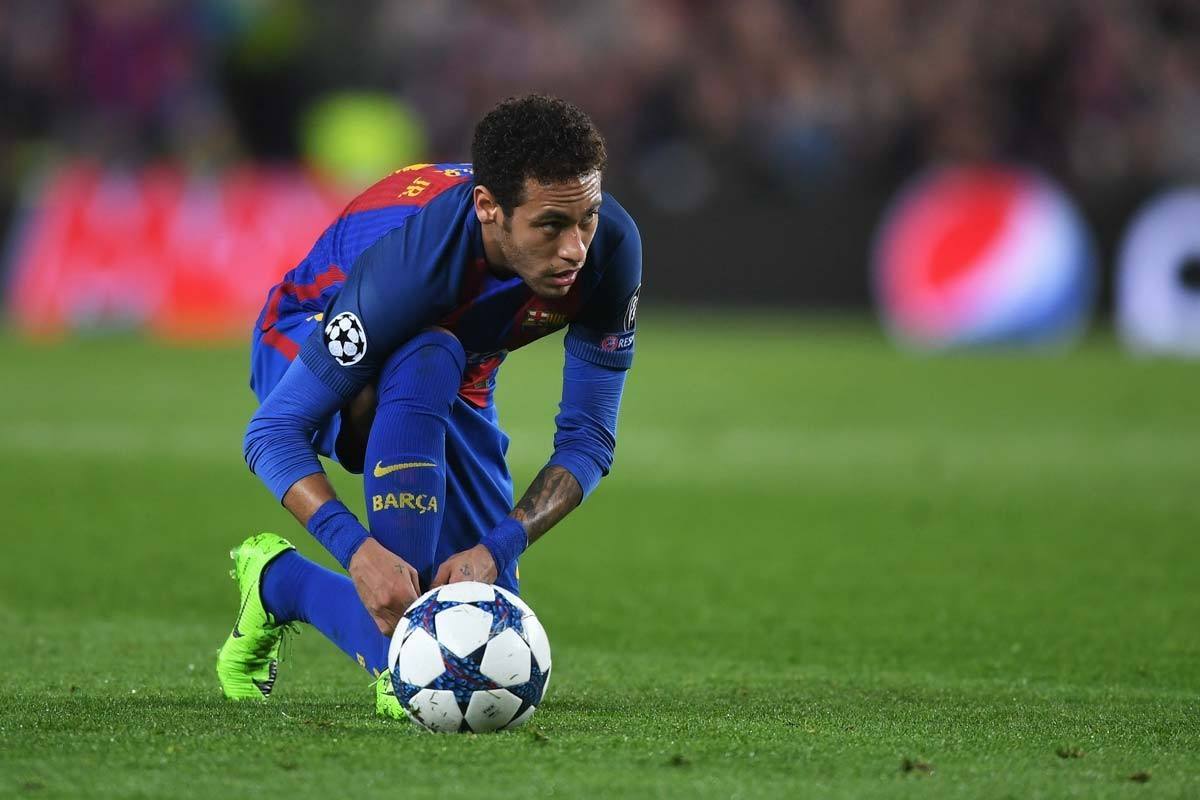 立完善的青 立完善的青